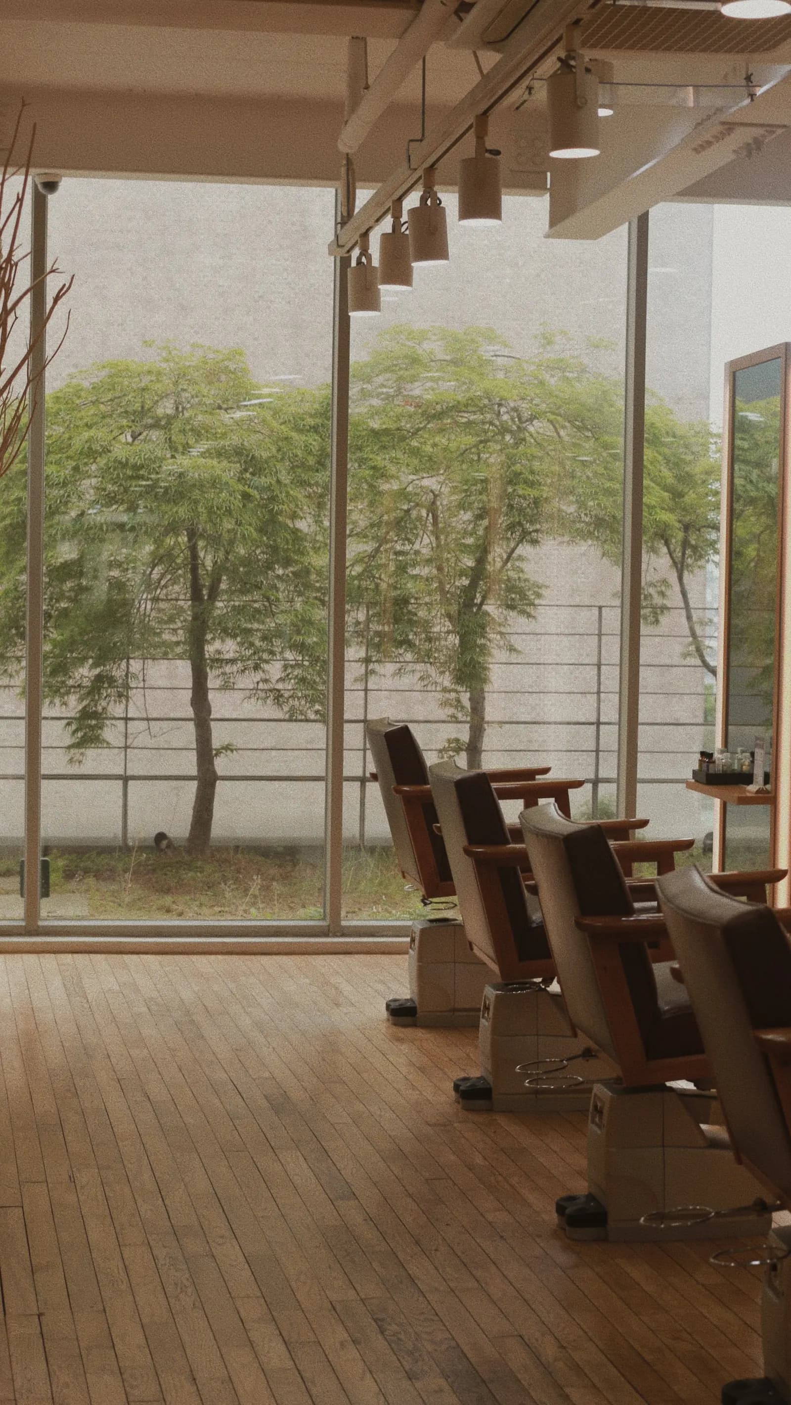 Styling floor with trees filling the window wall · RARIEN Myeongdong
